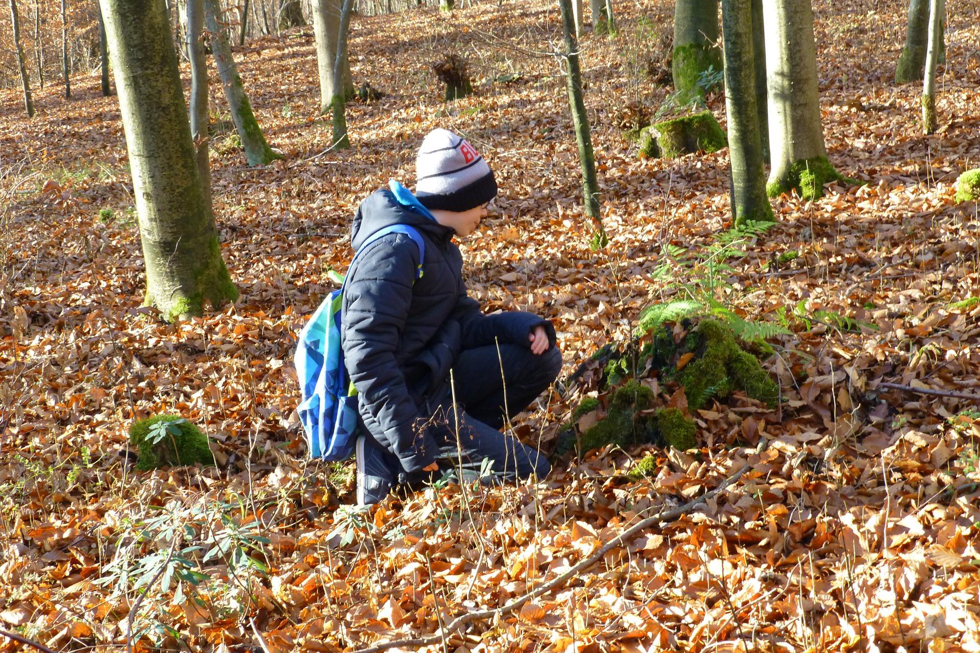 Lerngang Guttenberger Forst013
