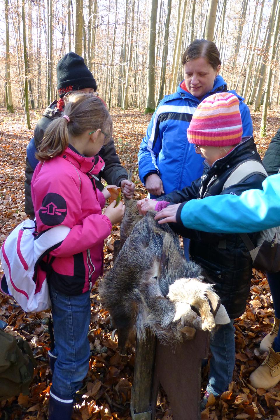 Lerngang Guttenberger Forst018