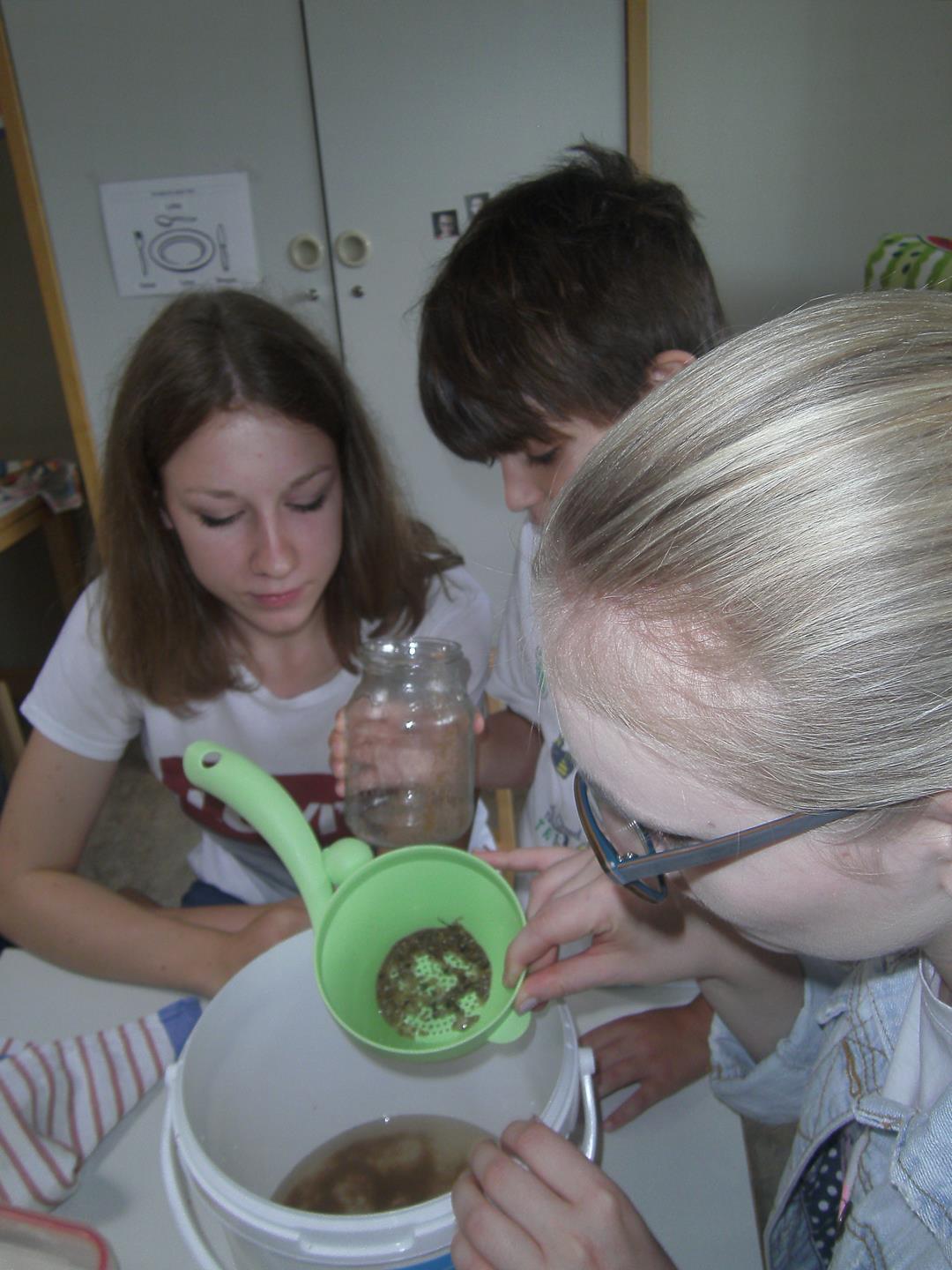 Projekttag Elemente Komp 012