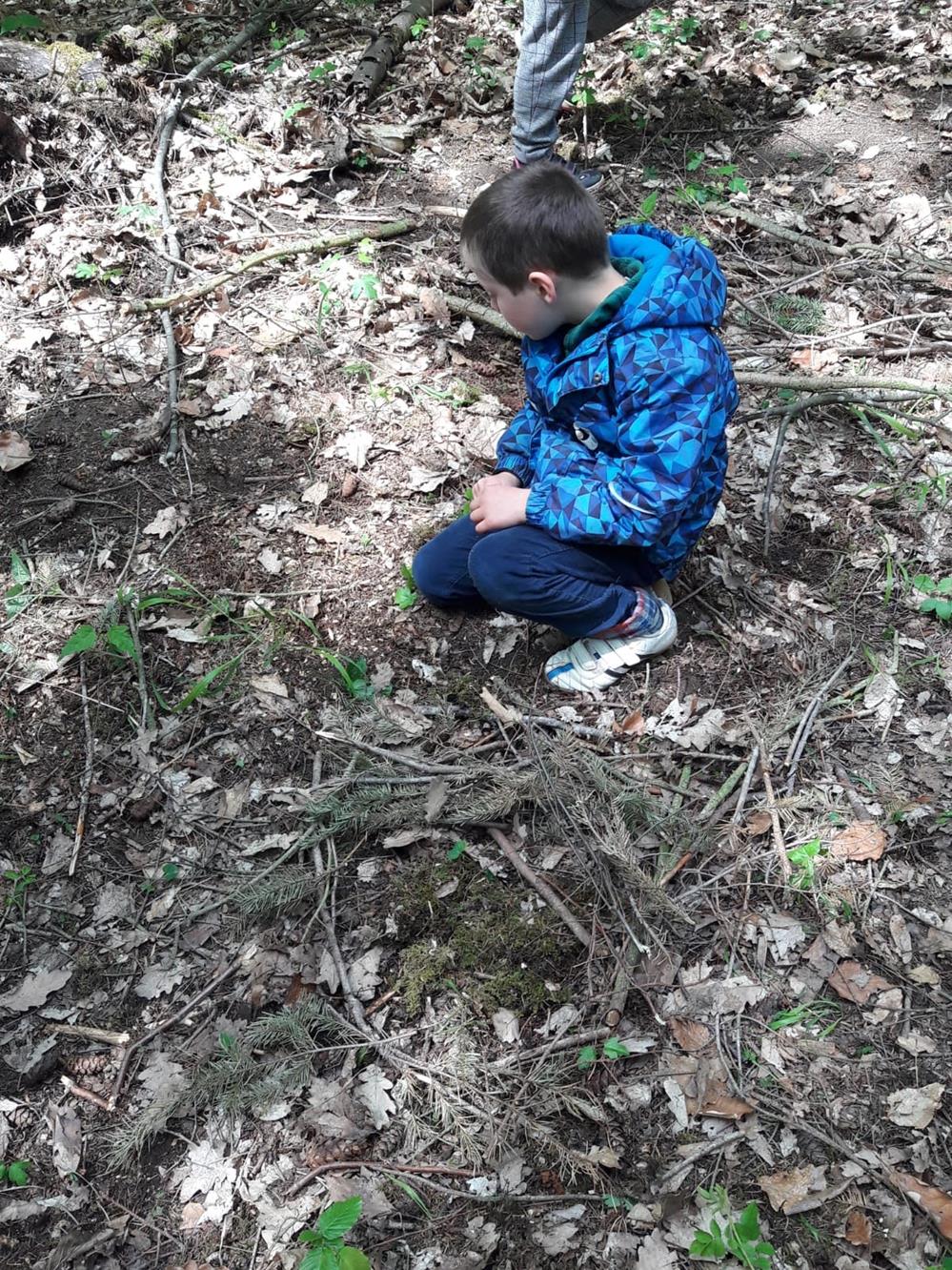 Waldtag 2019 003