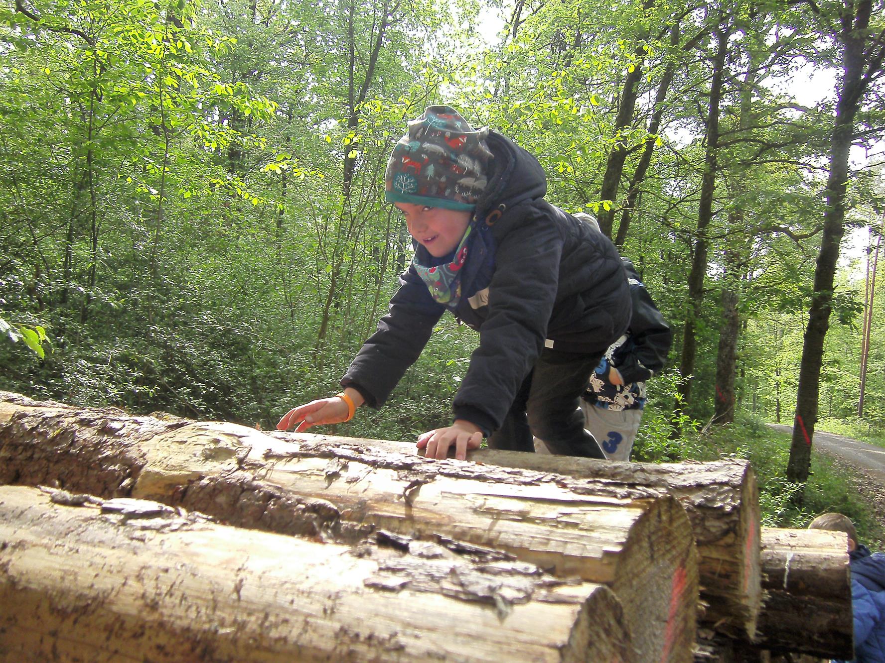 Waldtag 2019 052
