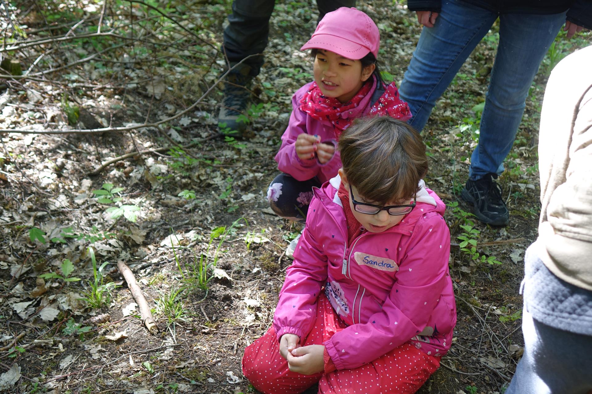 Waldtag 2019 098