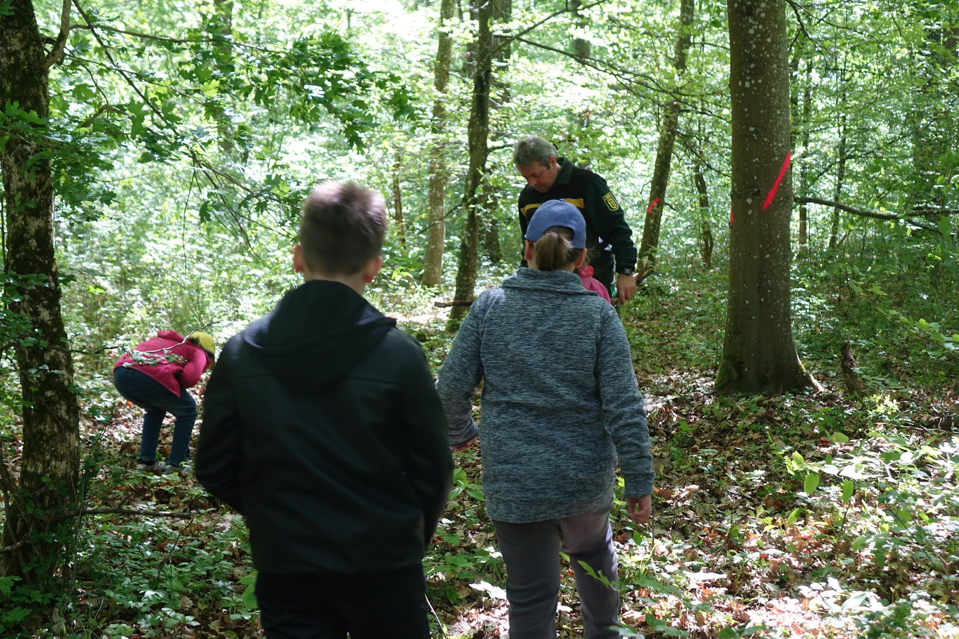 Waldtag 2019 135