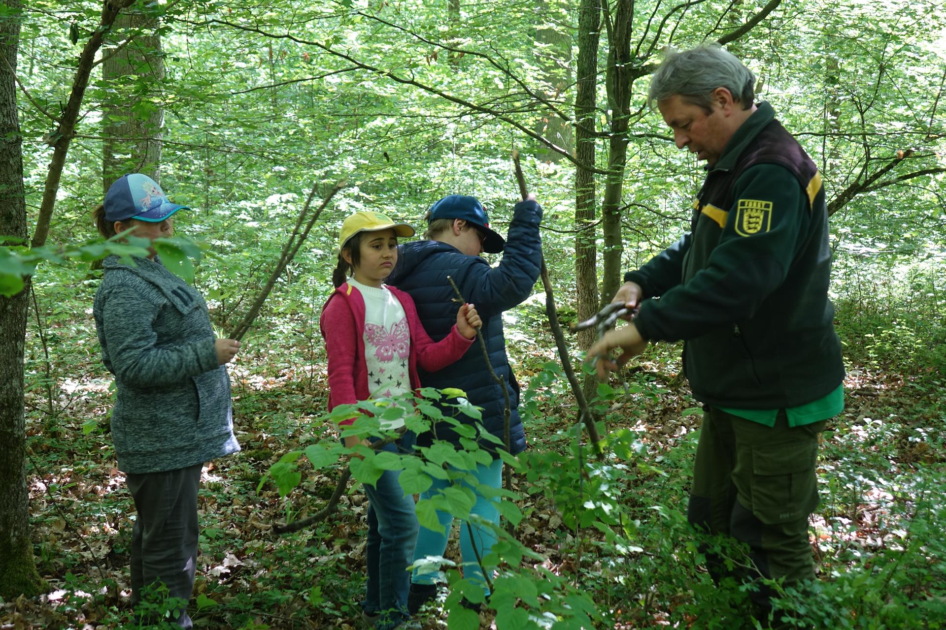 Waldtag 2019 160