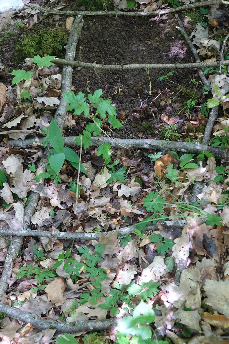 Waldtag 2019 182