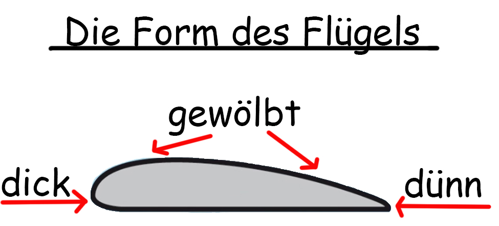 Form Flügel